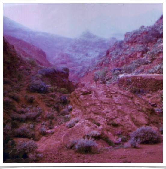 At Pico de las Nieves - second highest peak (1,949 m) on Gran Canaria - of volcanic origin (stratovolcano).